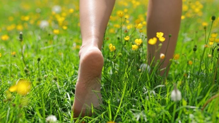 Dr. Ealy EMFs Earthing Sweet Dreams with Microscopic Evidence 1