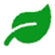 IMAGE 2025 04 09 131927