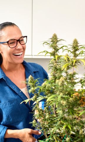 Mastering Medical Cannabis What Youll Learn e1780426982550