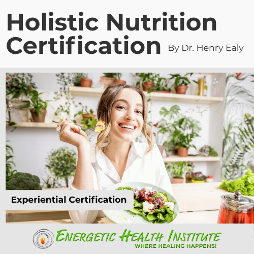 Product Image HNC Holistic Nutrition Certification