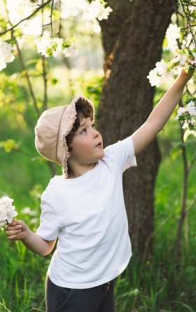 The Art of Grounding What Youll Learn